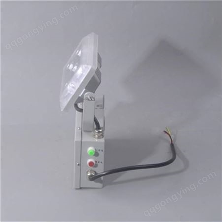 LED应急照明灯 ZY8810配电房壁装灯 应急低顶灯10小时