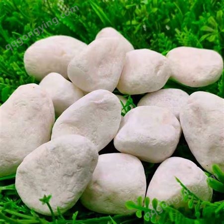 鹅卵石生产厂家 白色石子 打磨卵石 圣邦矿产
