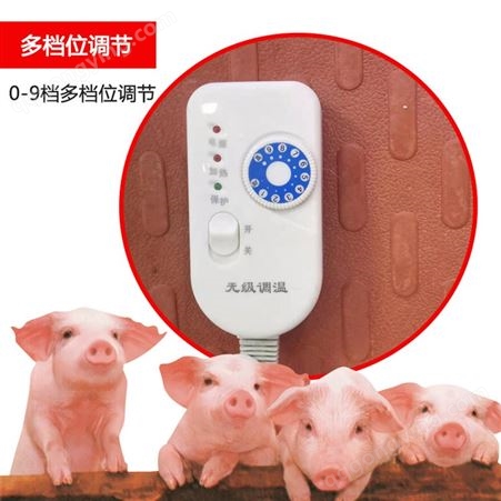 养殖电热板 仔猪电热板 猪用电热板生产厂家