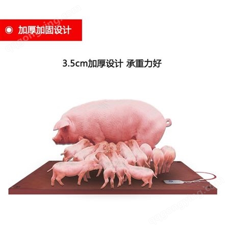 养殖电热板 仔猪电热板 猪用电热板生产厂家