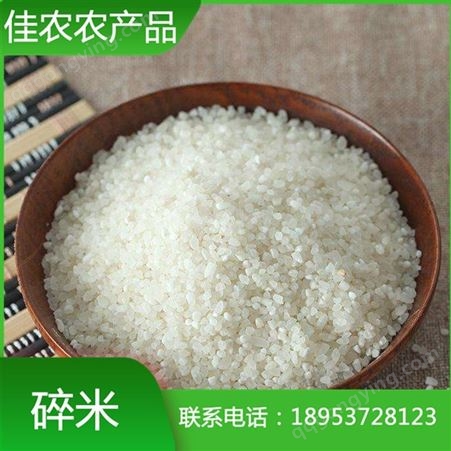 米厂大量现货供应食品和酿酒用碎米 山东抛光碎米 酒厂用米