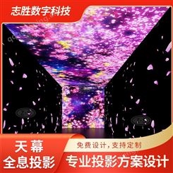 全息天幕投影系统开发 海洋花海多场景打造 广州厂家零售批发