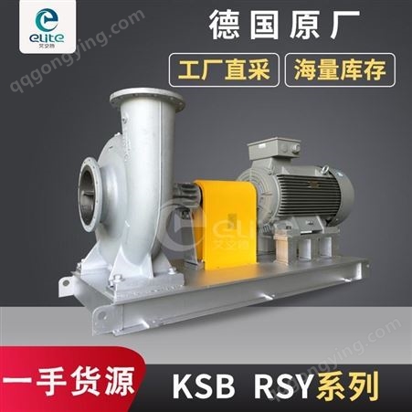 德国KSB原装RSY/250-500耐高温导热油泵-高扬程大流量