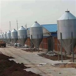 潍坊养殖设备厂家供应 全套养殖设备安装 大牧人养殖设备