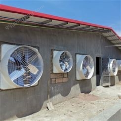 供应玻璃钢风机 防腐屋顶风机 养殖地沟风机山东泰达