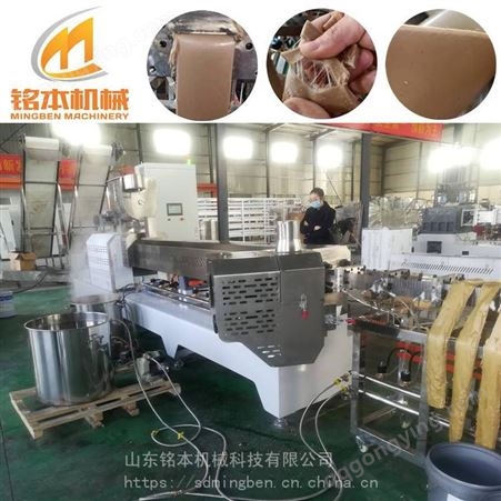 大豆拉丝蛋白生产设备 素肉设备 生产厂家 山东铭本