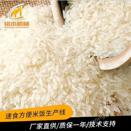 全自动营养人造米设备生产厂家 山东铭本 提供工艺配方