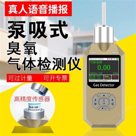 普利通 泵吸式臭氧检测仪O3臭氧探测器 PLT300-O3 手持式臭氧浓度检测仪臭氧浓度检测仪