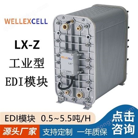 美国WELLEXCELL唯赛乐 纯水系统EDI模块LXM35Z4吨同款西门zi EDI膜块
