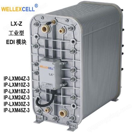 美国WELLEXCELL唯赛乐 电子超纯水EDI模块LXM30Z西门zi反渗透EDI膜堆3吨