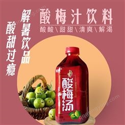 1L酸梅汁 杨梅汁批发 酸梅汁生产厂家
