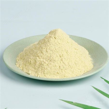 食品级膨化豌豆粉 批发供应散装白豌豆粉