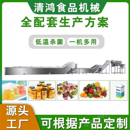 清鸿QH-430西红柿酱机 番茄酱设备 调料包生产线 效率高