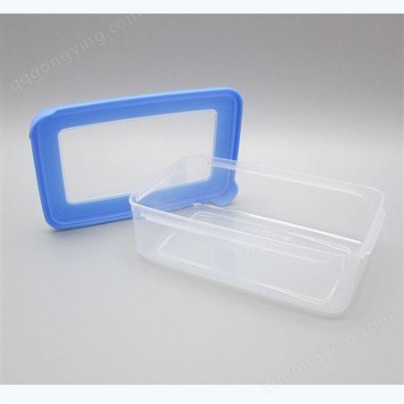  环保冷藏保鲜透视窗盖子长方形塑料密封保鲜盒