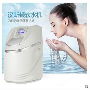 家用软水机品牌排行 汉斯顿软水机别墅家用SD-S1000 非直饮软化水质洗澡洗衣