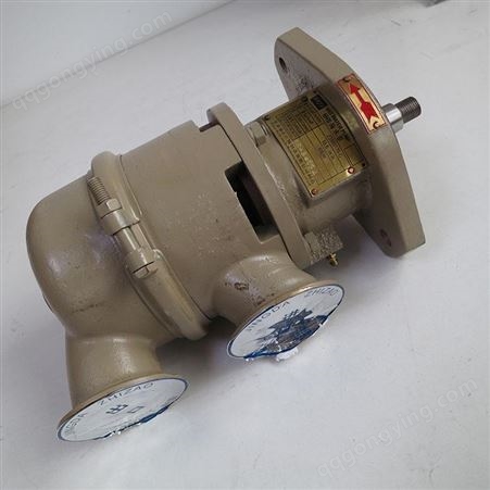 6BT海水泵耐腐蚀海水泵 氟塑料小型磁力泵 不锈钢深井泵 三丰