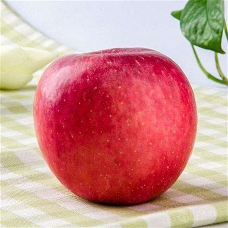 带包装红苹果 疫情对红富士苹果的影响