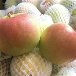 整箱红富士苹果批发价 栖霞红富士 代收苹果 价格分析