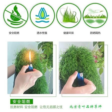 北京青叶牌3.0型三公分16800针密度加密型塑料仿真草坪