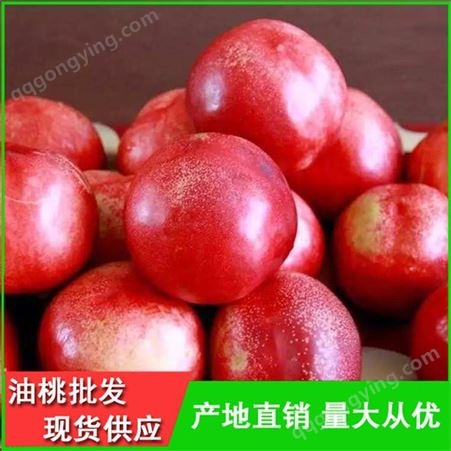 山东油桃品种齐全-早熟油桃产地-昊昌