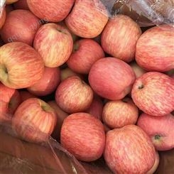 苹果水果市场价格 冷库红富士苹果纸袋价格
