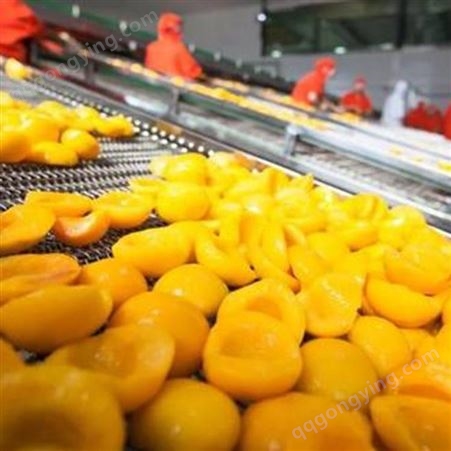 黄桃罐头 巨鑫源生产厂家直供 出口包邮休闲食品