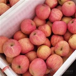 青岛苹果市场价格 苹果市场价格与期货价格