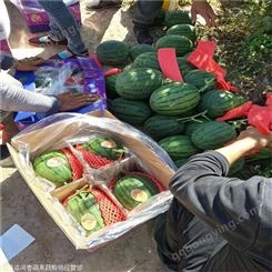 新疆乌鲁木齐基地西瓜基地价格 月份西瓜 昊昌农产品