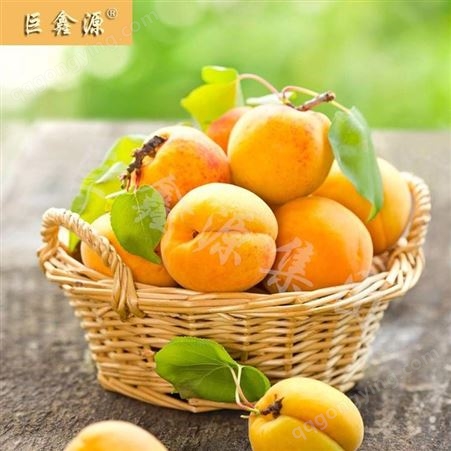 水果黄桃 即食罐头 山东代加工厂家巨鑫源黄桃罐头食品