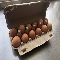 12枚鸡蛋保护托-卓尔纸塑-环保可降解-批发出售