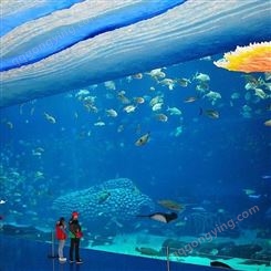 承接大型海洋馆施工 水族馆设计 中大型工程亚克力鱼缸定做 戏浪海景