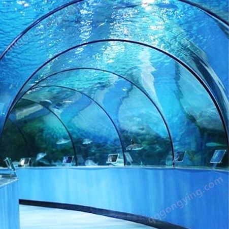 定做大型亚克力鱼缸 海洋馆工程设计 水族馆施工 鱼缸造景设计 戏浪异形