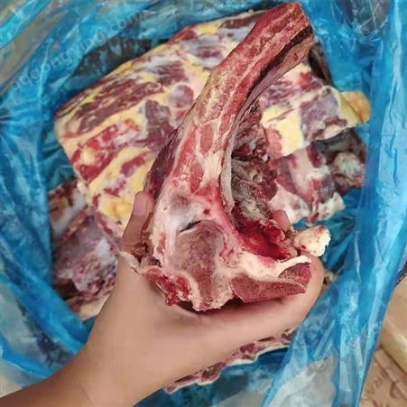 牛脊骨 带肉牛脊 冷冻商用煲汤用 火锅食材 新鲜屠宰