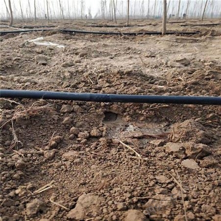 江西砂糖橘水肥一体化滴灌管厂家吉安滴灌用灌溉pe管