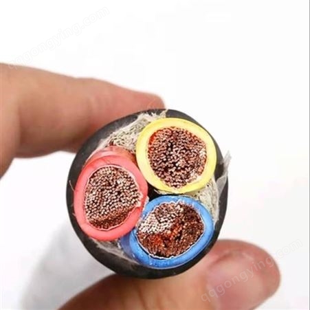  弘泰线缆有限公司 一枝秀 铜芯软电缆双层皮黑护套阻燃电缆RVVZ1芯