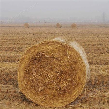 多尺寸白色塑料牧草打包网 使用便捷 节省时间