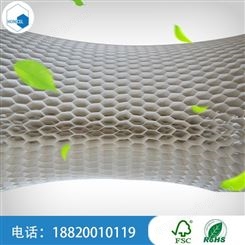 广州防水蜂窝芯材 高强度塑料蜂窝板厂家
