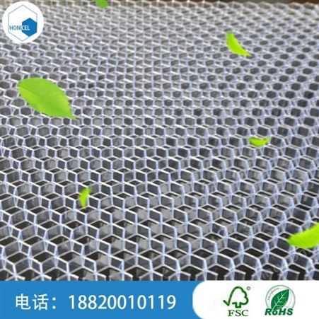 广州塑性蜂窝芯材 高强度塑料蜂窝板厂家