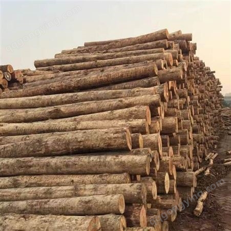 德州奥松木方 建筑工程木方 中润天木方批发厂家 定制直供