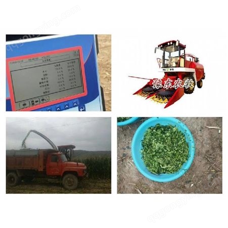 豫东农牧秸秆青贮机-棉花秸秆收割机-内蒙古自治区-青储收割机价格
