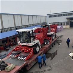 豫东农牧青贮机厂家-棉花秸秆收割机-新疆-青贮机收割效果