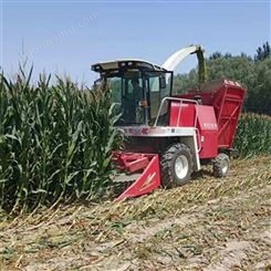 豫东农牧玉米秸秆青储机械-自走式柠条收割机价格-新疆-青储收割机价格