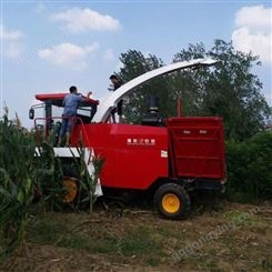 青贮机厂家豫东农牧玉米大型青储收割机-湖北省-青贮机收割效果