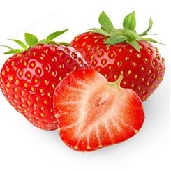 甜查理草莓苗批发价格 脱毒草莓苗品质 基地直销量大优惠 银庄农业