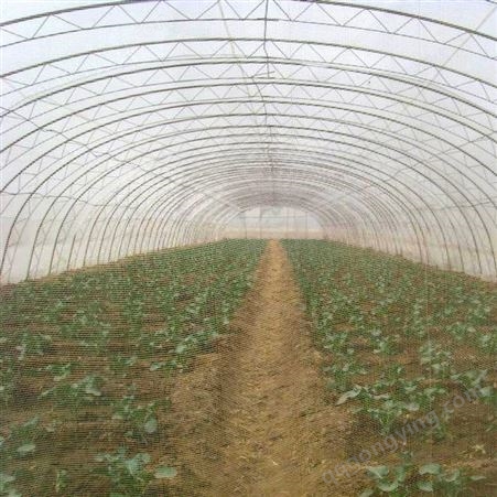 厂家 园艺防虫网 防虫网 蔬菜防虫网 大棚防虫网 可定制