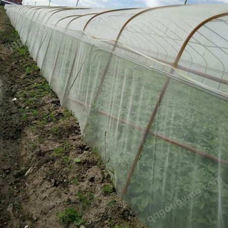   防虫网 防虫网蔬菜  水果防虫网  防虫网价格报价
