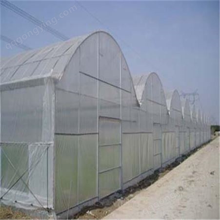 【润石】现货供应大棚防虫网 防虫网室  防虫网  蔬菜防虫网