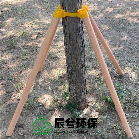 绿化树木支撑杆 定制玻璃钢树木支撑杆 复合材料树木支撑杆 纤维支撑架 辰兮环保