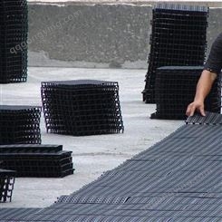 屋面防渗排水板厂家 蓄水池塑料排水板价格 量大优惠