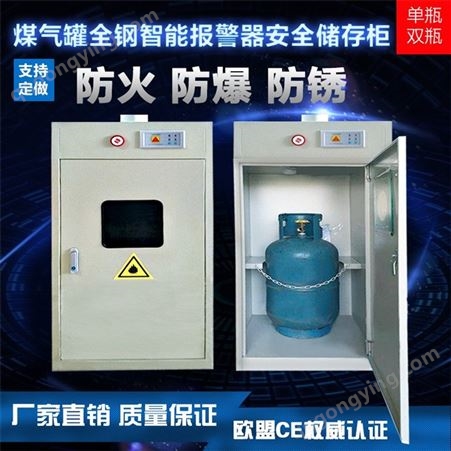天津工业全钢报警气体柜 家用液化气瓶存放柜 排风防火防爆柜